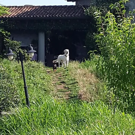 Oda ve Kahvaltı Melograno Pontoglio