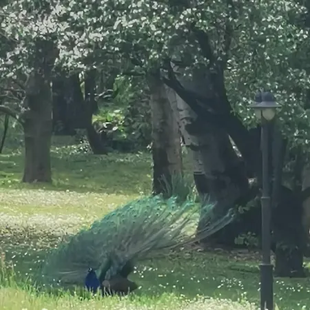 Bed & Breakfast Melograno *